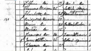 Detail of Bridget's census entry